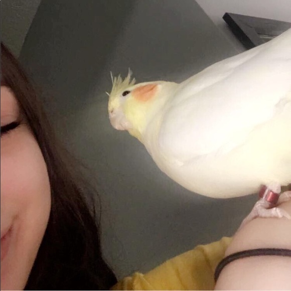 Meet your Posher, Makaylia - Picture 1 of 1